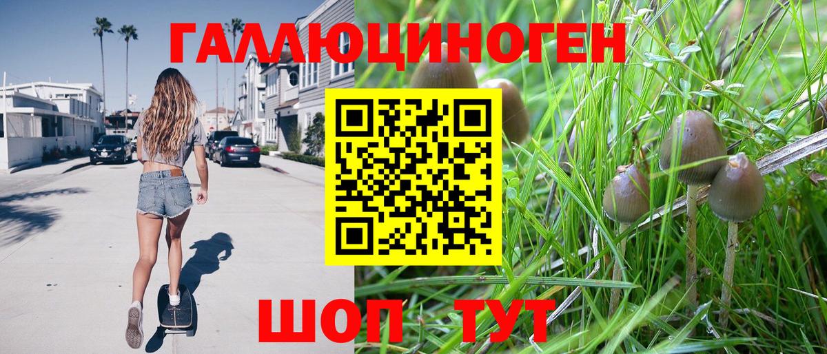 Псилоцибиновые грибы ЛСД Омск